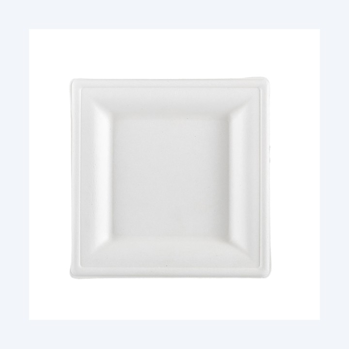 Piatto piano monouso quadrato 16 x 16 — 100110 | Ecotempo