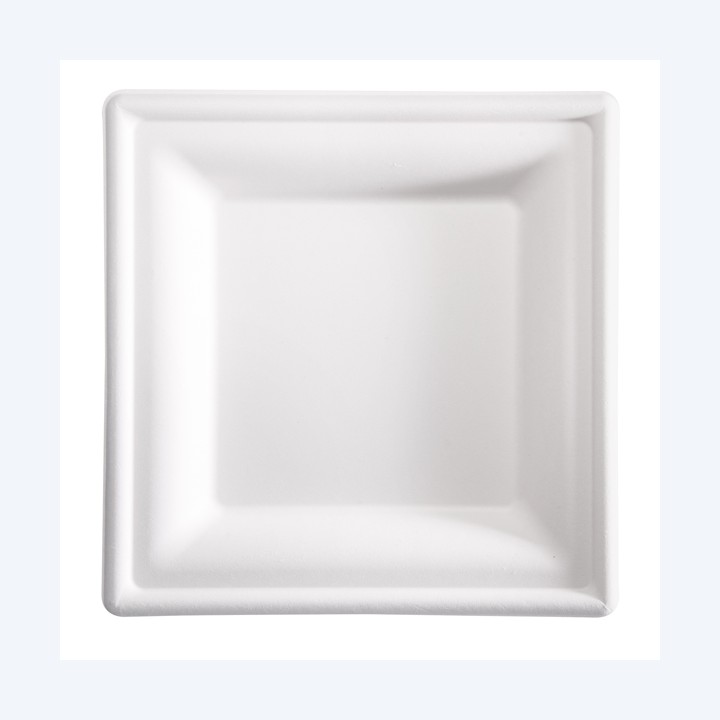 Piatto piano monouso quadrato 20 x 20 — 100111 | Ecotempo
