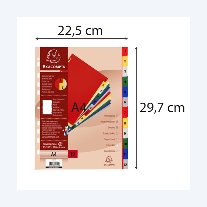 Divisori Numerici 1-12 PP opaco A4 — 102332 | Ecotempo