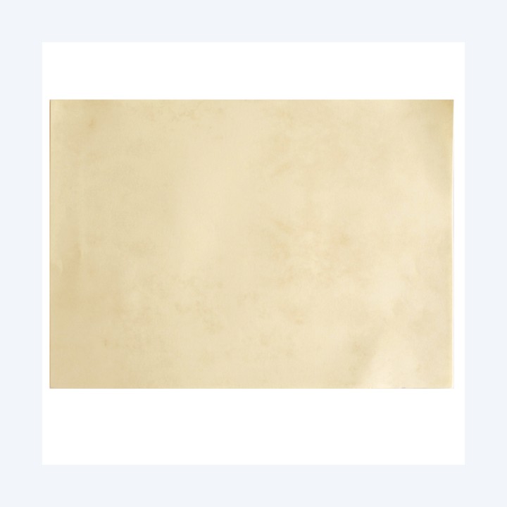 REX SADOCH Diplomi A3 120 gr avorio — 104046 | Ecotempo