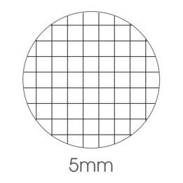 Maxiquaderno Be More Baby A4 5mm alta — 104244 | Ecotempo