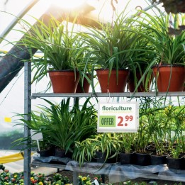 Busta impermeabile Outdoor con fascette — 106311 | Ecotempo