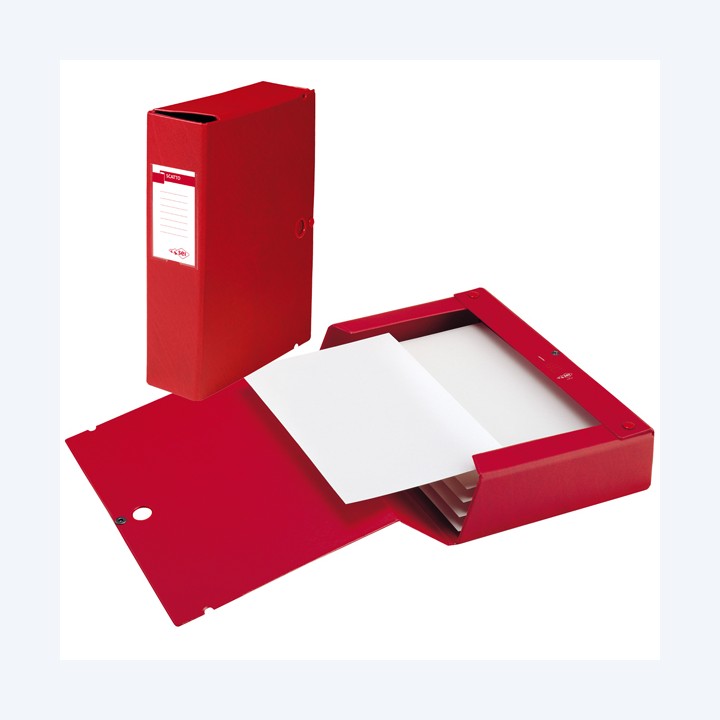 Scatola archivio Scatto dorso 6 cm 25 x — 25618 | Ecotempo