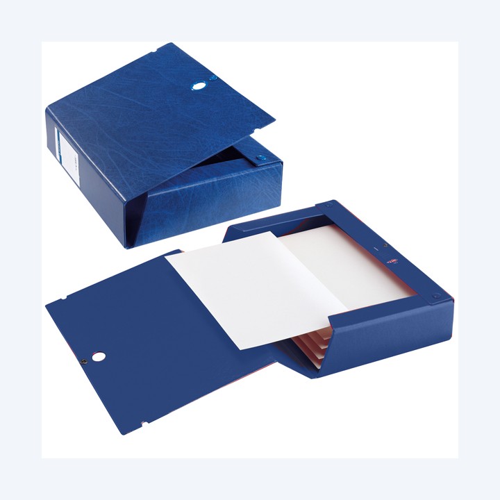 Scatola archivio Scatto dorso 8 cm 25 x — 25620 | Ecotempo