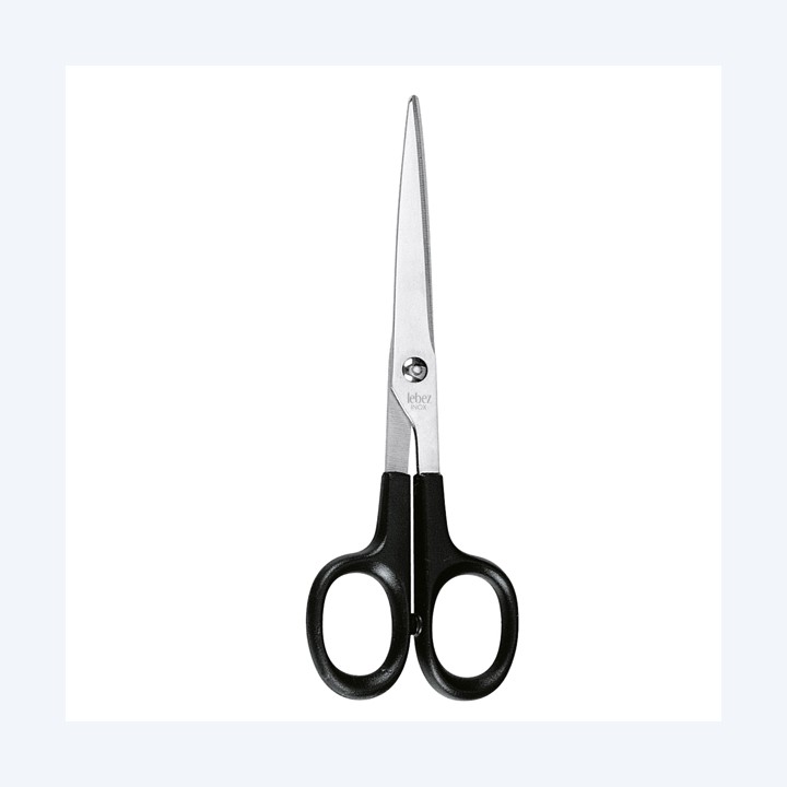 Forbice Professional 17 cm lama acciaio — 25797 | Ecotempo