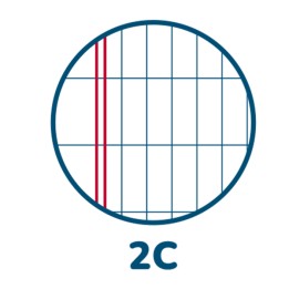 Maxiquaderno Monocromo A4 2 colonne 42 fogli 80gr Pigna | Ecotempo