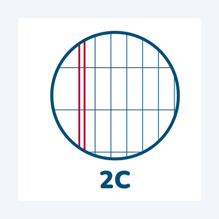 Maxiquaderno Monocromo A4 2 colonne 42 fogli 80gr Pigna | Ecotempo