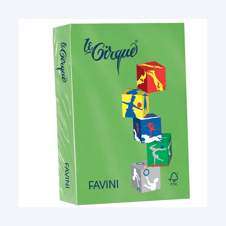 Carta Le Cirque A4 80 gr verde prato — 32877 | Ecotempo