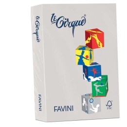 Carta Le Cirque A4 160 gr grigio — 32903 | Ecotempo
