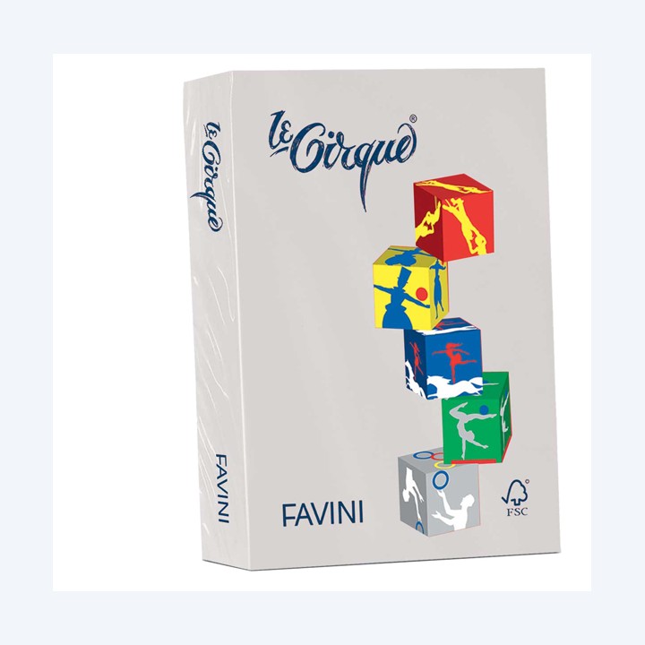 Carta Le Cirque A4 160 gr grigio — 32903 | Ecotempo