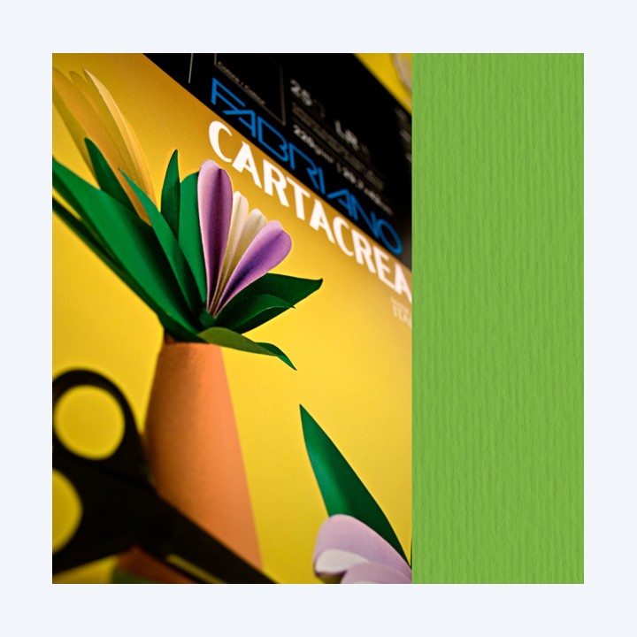 Cartoncino CartaCrea 35 x 50 cm 220 gr — 37235 | Ecotempo