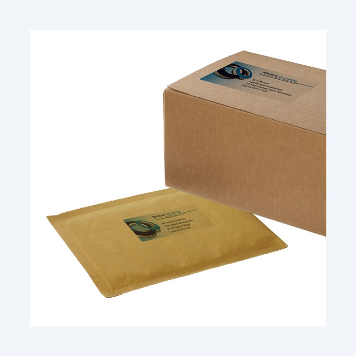 Etichette adesive J8560 in PE inkjet — 45203 | Ecotempo