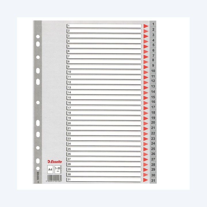 Separatore numerico 1/31 PP A4 grigio Esselte | Ecotempo