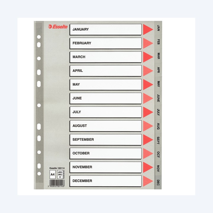 Separatore mensile Gen/Dic PP A4 grigio Esselte | Ecotempo