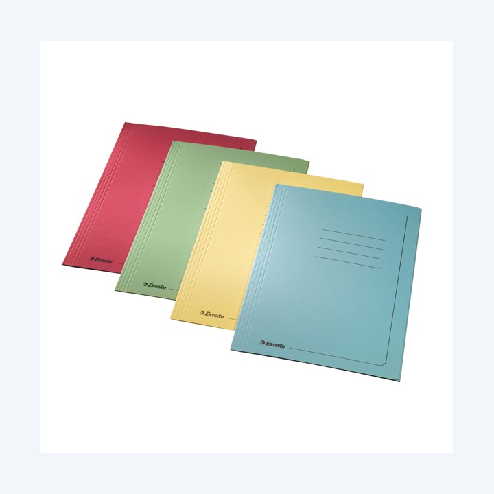 Cartellina 3 lembi con stampa 295 gr — 47417 | Ecotempo