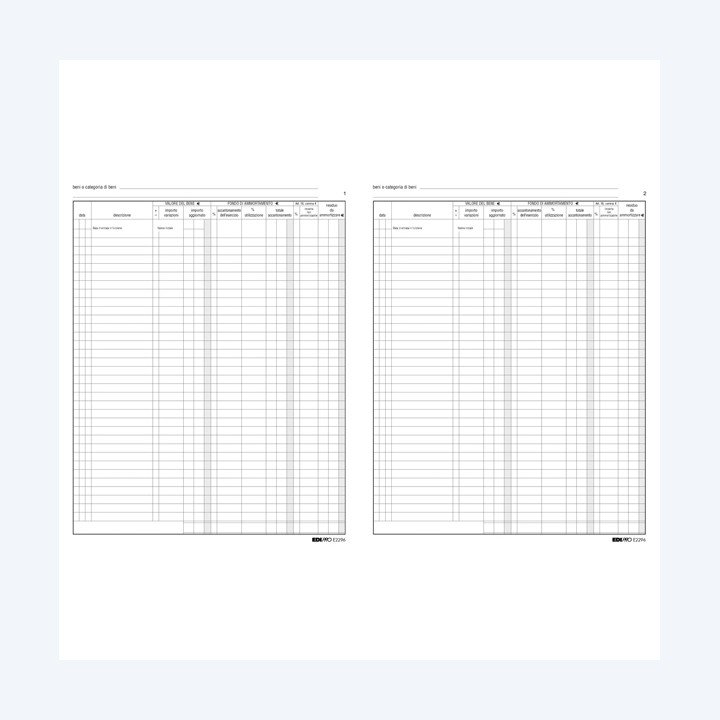 Registro cespiti ammortizzabili 31 x — 50237 | Ecotempo