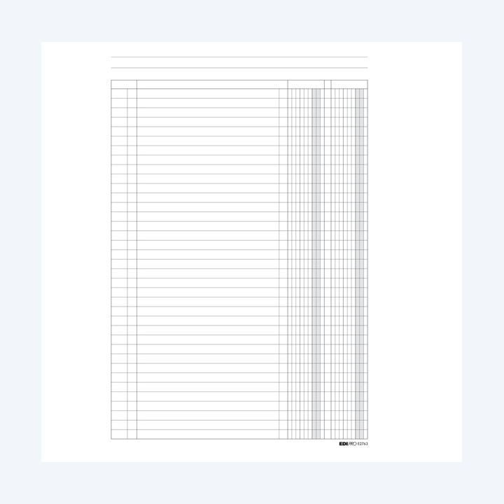 Registro a 2 colonne 31 x 24cm 100 fogli Edipro | Ecotempo