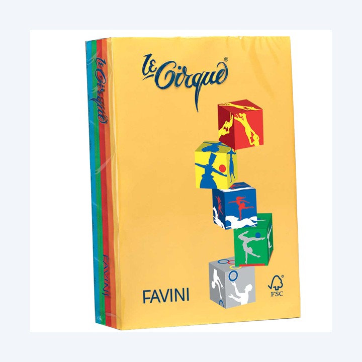 Carta Le Cirque A4 160 gr mix 5 colori — 55510 | Ecotempo