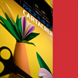 Cartoncino CartaCrea 35 x 50 cm 220 gr — 59687 | Ecotempo