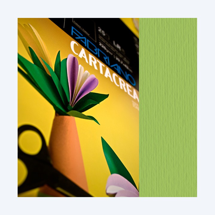 Cartoncino CartaCrea 35 x 50 cm 220 gr — 59690 | Ecotempo