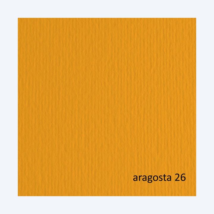 Cartoncino Elle Erre 70 x 100 cm 220 gr — 61133 | Ecotempo