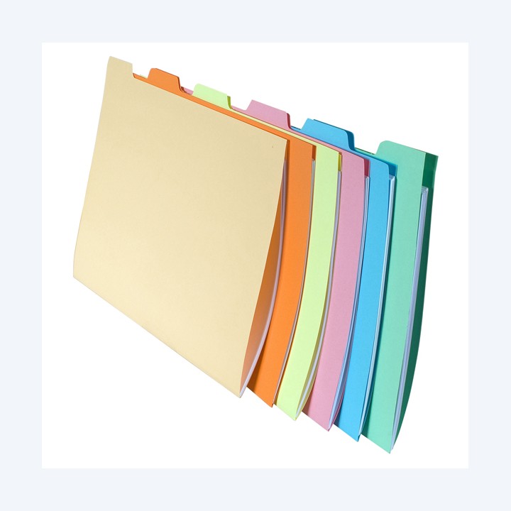 Cartelline con tacca per cartelle — 61600 | Ecotempo