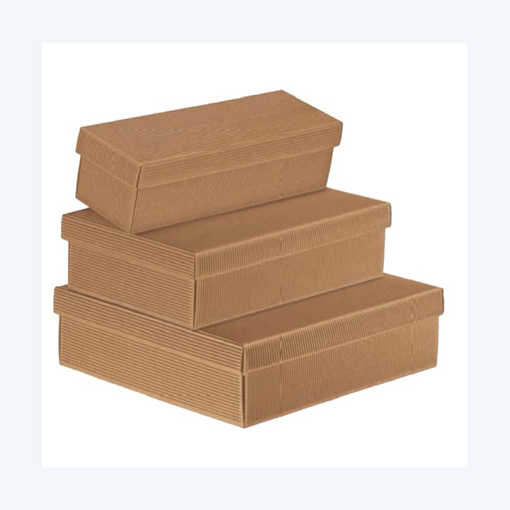 Scatola in cartone Onda avana con — 67351 | Ecotempo