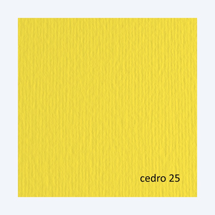 Cartoncino Elle Erre 50 x 70 cm 220 gr — 67614 | Ecotempo