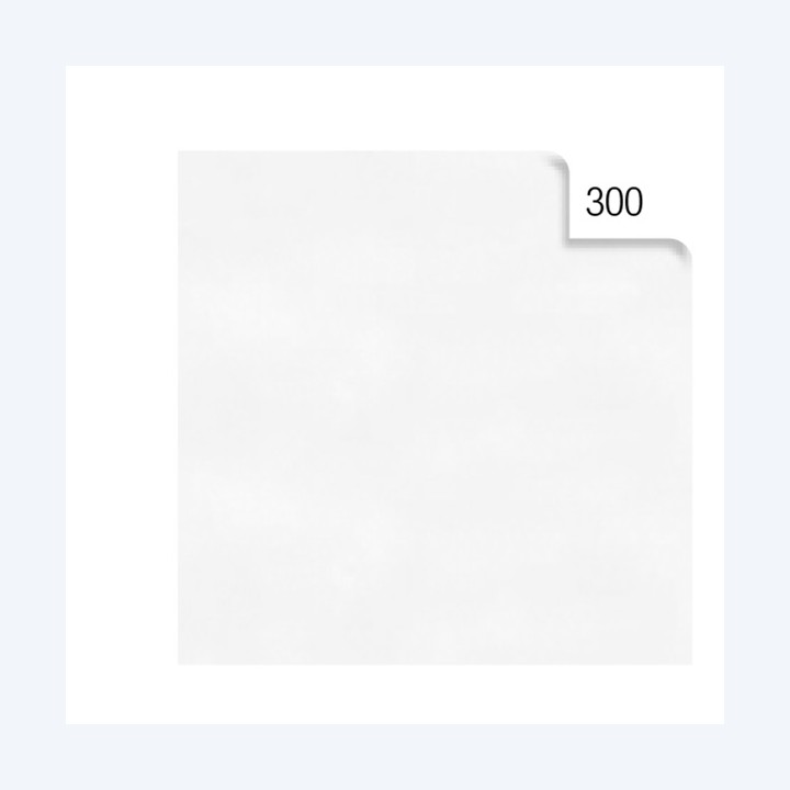Carta velina 50 x 70 cm 20 gr bianco — 67651 | Ecotempo