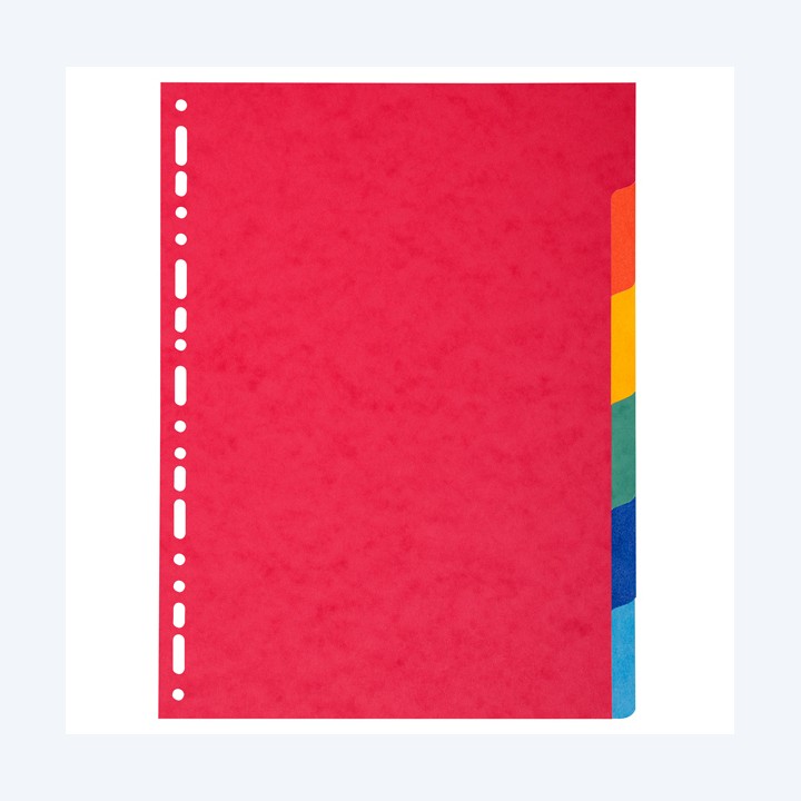 Separatore Forever 6 tacche cartoncino — 71840 | Ecotempo