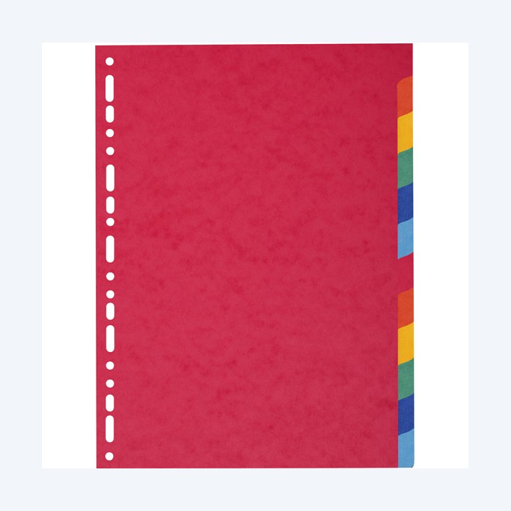 Separatore Forever 12 tacche cartoncino — 71841 | Ecotempo