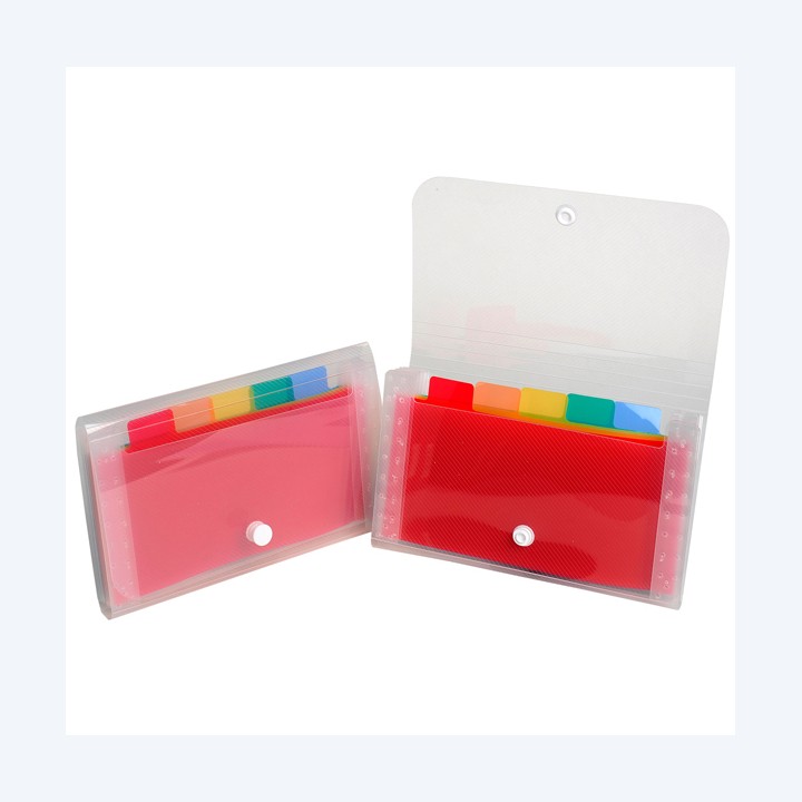Classificatore Crystal 6 tasche PP 11x18 cm Exacompta | Ecotempo