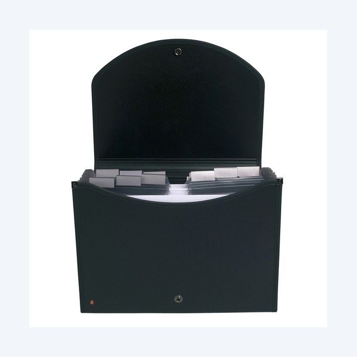 Classificatore Exacase 13 tasche PPL — 71901 | Ecotempo