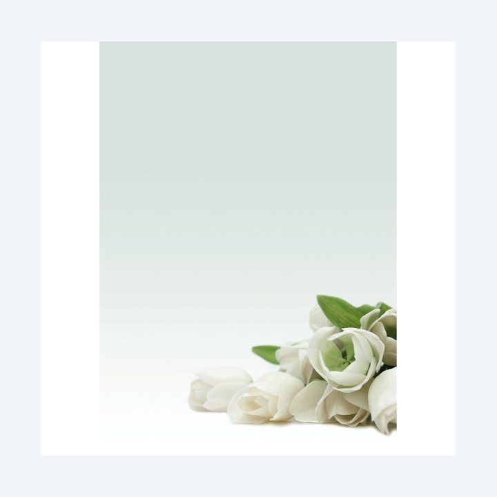 Carta con stampa "rosa bianca" A4 90 gr — 76227 | Ecotempo