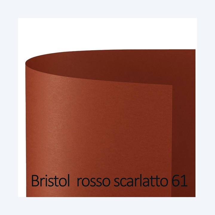 Cartoncino Bristol Color 50 x 70 cm 200 — 79309 | Ecotempo