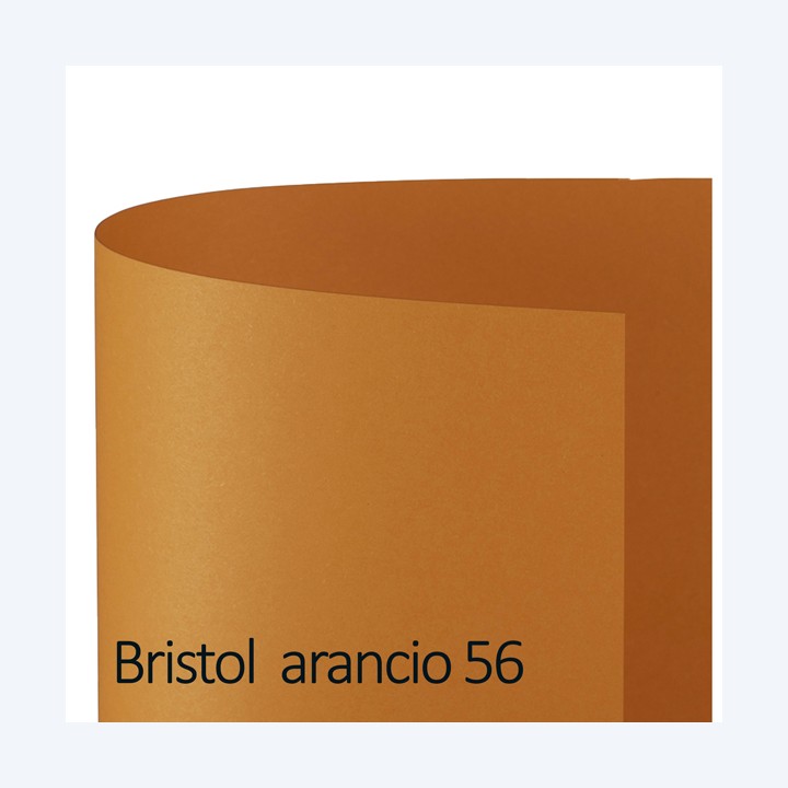 Cartoncino Bristol Color 70 x 100 cm — 79324 | Ecotempo