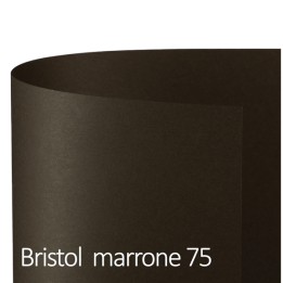 Cartoncino Bristol Color 50 x 70 cm 200 — 82214 | Ecotempo