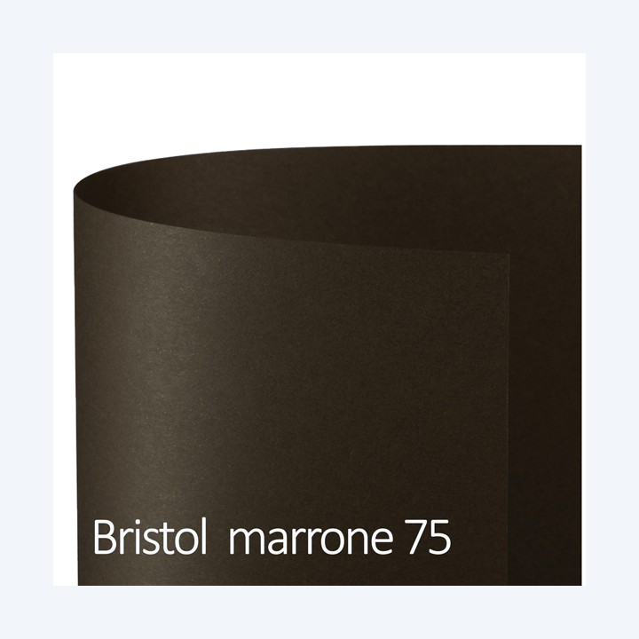Cartoncino Bristol Color 50 x 70 cm 200 — 82214 | Ecotempo