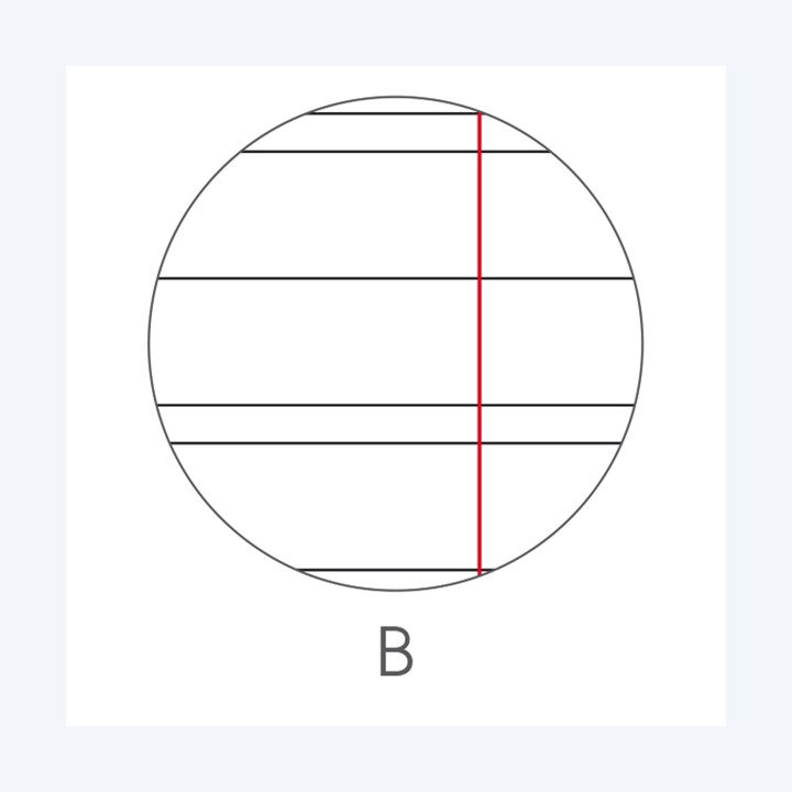 Maxiquaderno Animal fantasia A4 rigo di — 82527 | Ecotempo