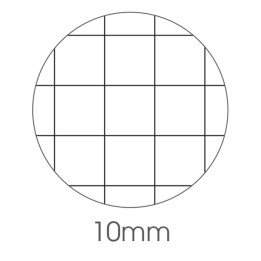Maxiquaderno Animal fantasia A4 10mm 40+2 fogli 80gr BM | Ecotempo