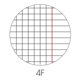 Maxiquaderno Animal fantasia A4 4mm — 82534 | Ecotempo