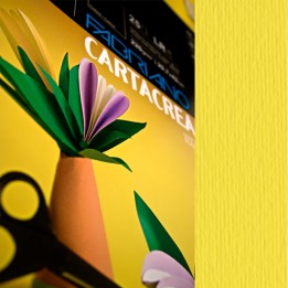 Cartoncino CartaCrea 35 x 50 cm 220 gr — 82583 | Ecotempo