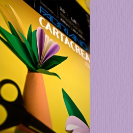 Cartoncino CartaCrea 35 x 50 cm 220 gr — 82586 | Ecotempo