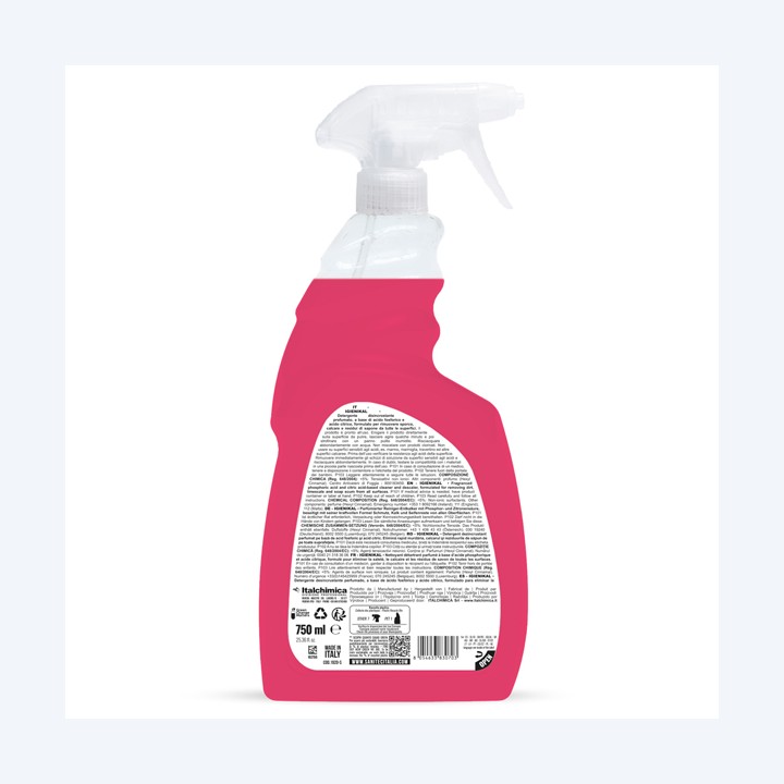 Detergente disincrostante Igienikal — 82745 | Ecotempo