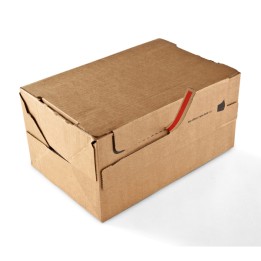 Scatola Return Box CP 069 S 28,2 x 19,1 — 83485 | Ecotempo