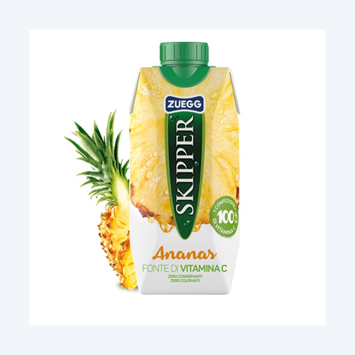 Succo Skipper gusto ananas Zuegg brick 330 ml | Ecotempo