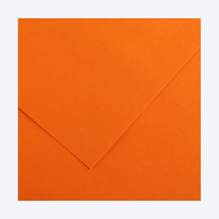 Foglio Colorline 70x100 cm 220 gr arancione Canson | Ecotempo