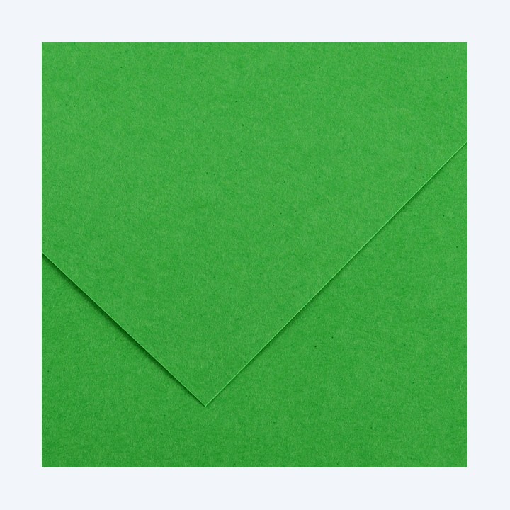 Foglio Colorline 70x100 cm 220 gr verde — 85586 | Ecotempo