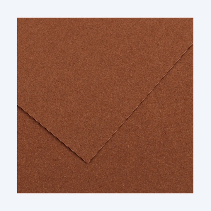 Foglio Colorline 70x100 cm 220 gr cioccolato Canson | Ecotempo