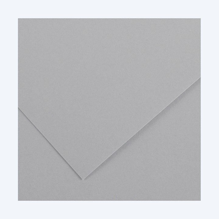 Foglio Colorline 70x100 cm 220 gr grigio chiaro Canson | Ecotempo